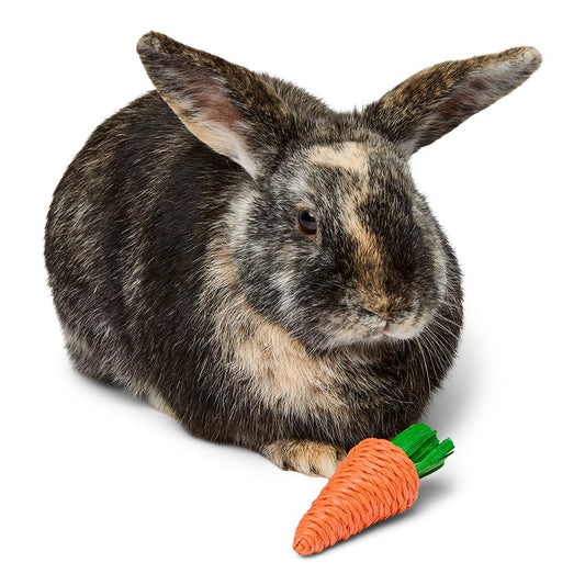 Pets at Home Small Animal Play Veg Patch 3 Pack