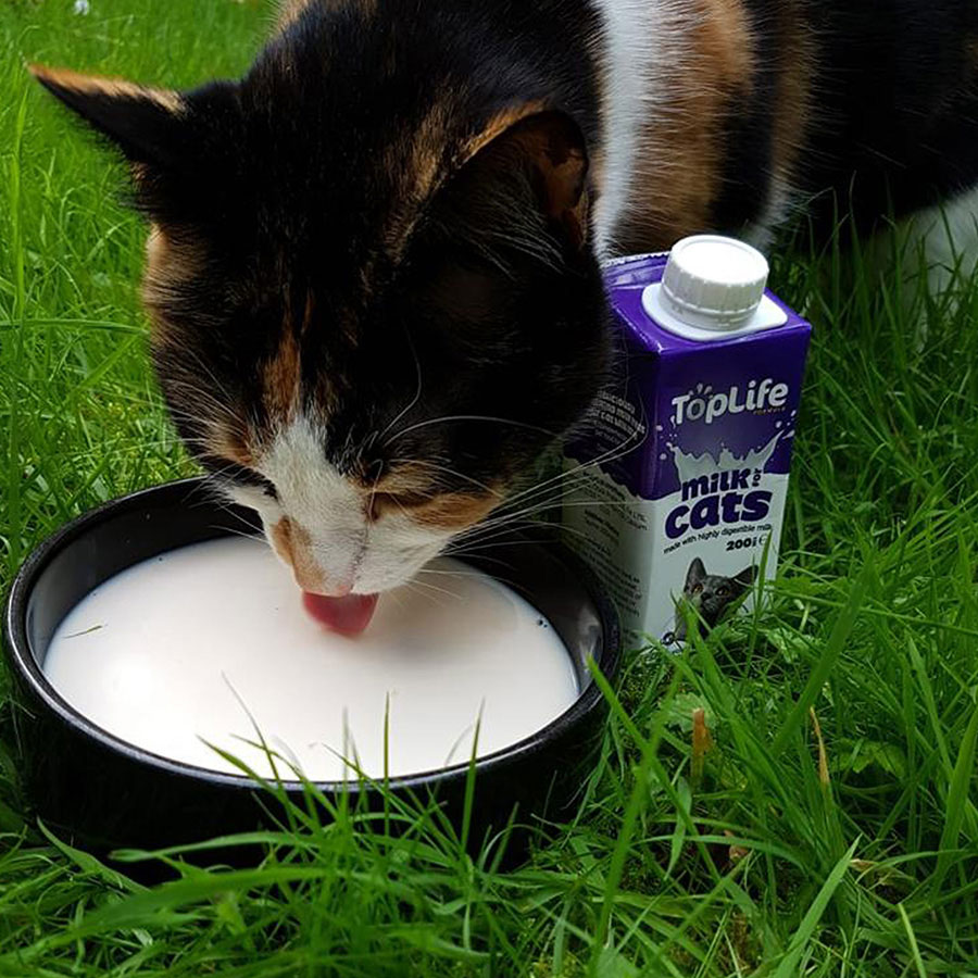 Toplife Cat Milk 200ml
