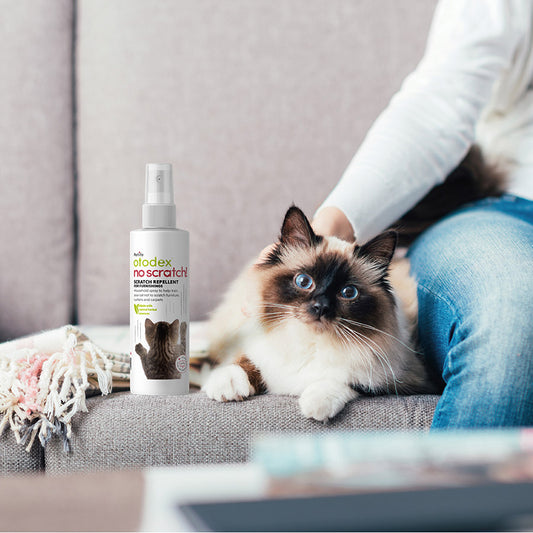 Petlife No Scratch Cat Scratch Repellent 150ml