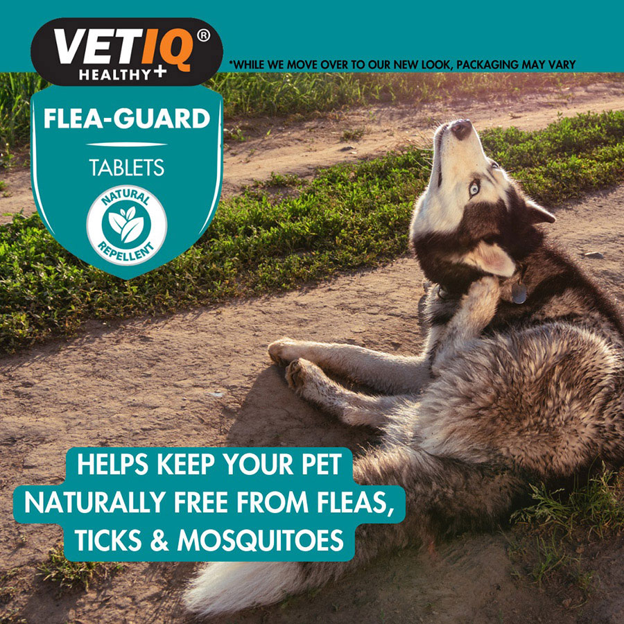 VetIQ Flea Guard Tablets For Dog & Cat 90 Pack