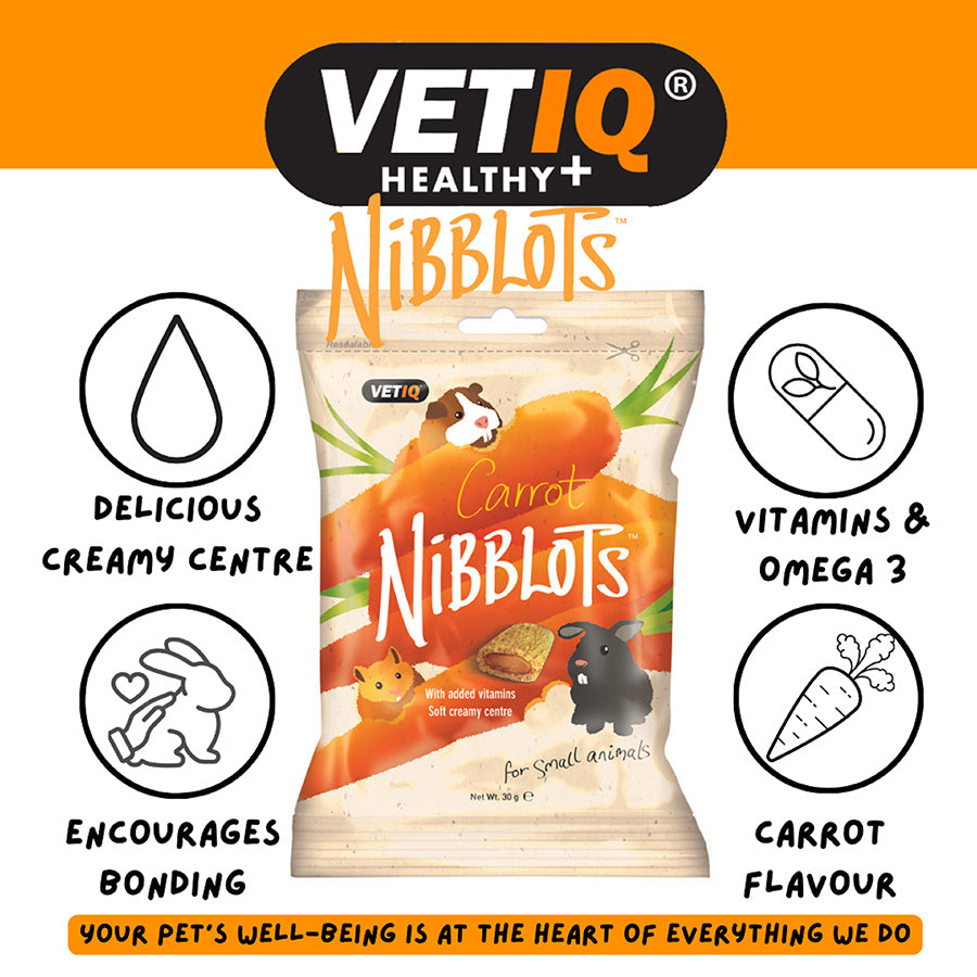 VetIQ Nibblots Small Animals Carrot Treats 30g