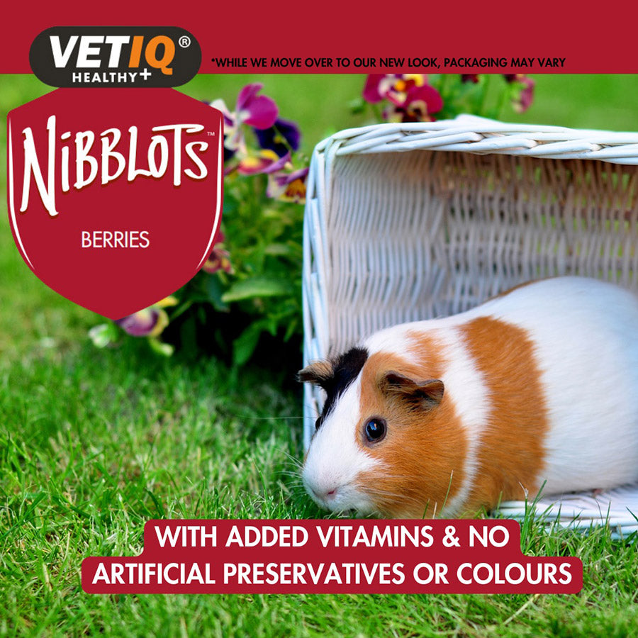 VetIQ Nibblots Small Animals Berry Treats 30g