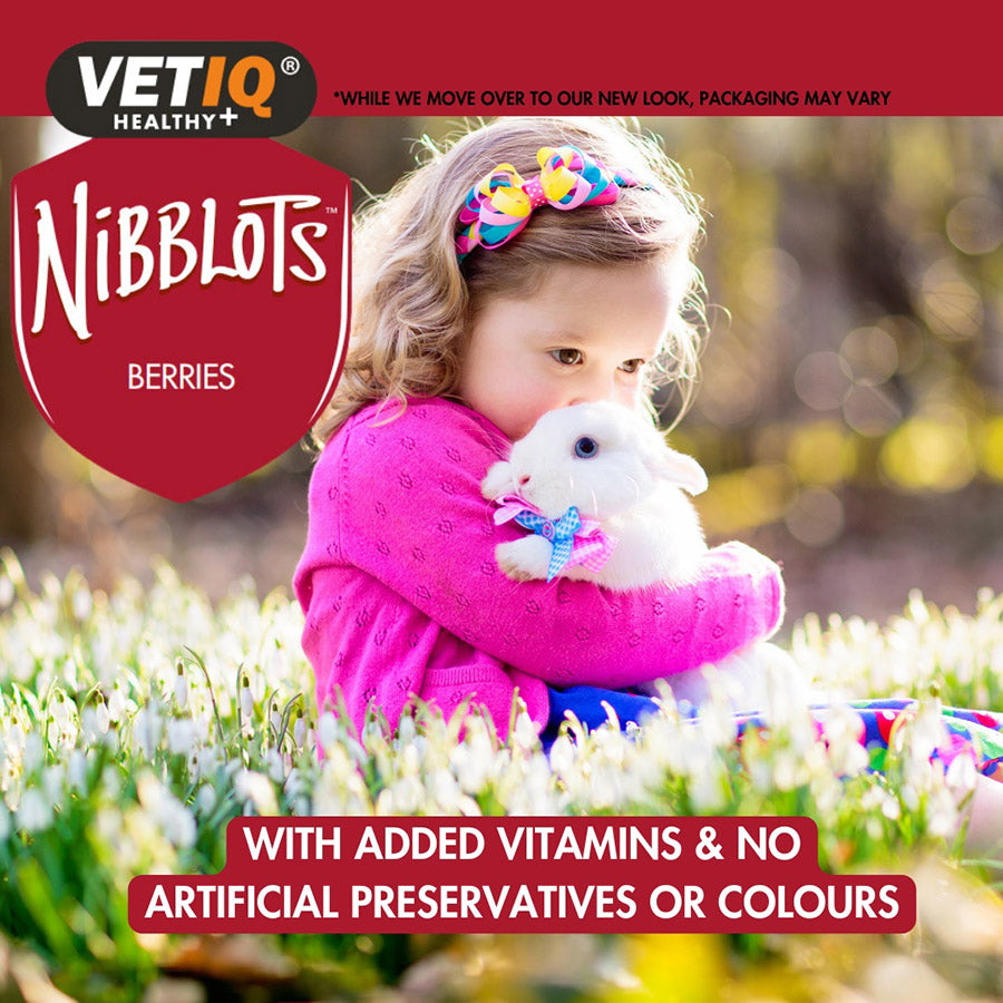 VetIQ Nibblots Small Animals Berry Treats 30g