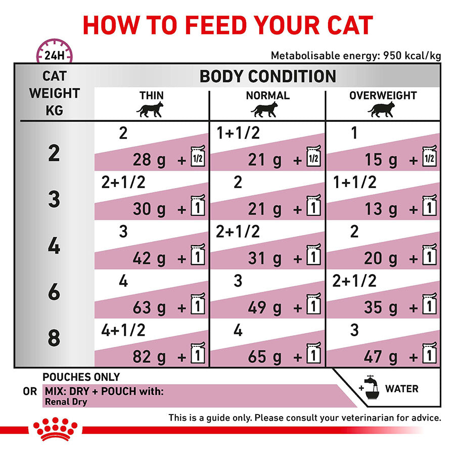 Royal Canin Veterinary Renal Adult Wet Cat Food Fish in Gravy 48x85g