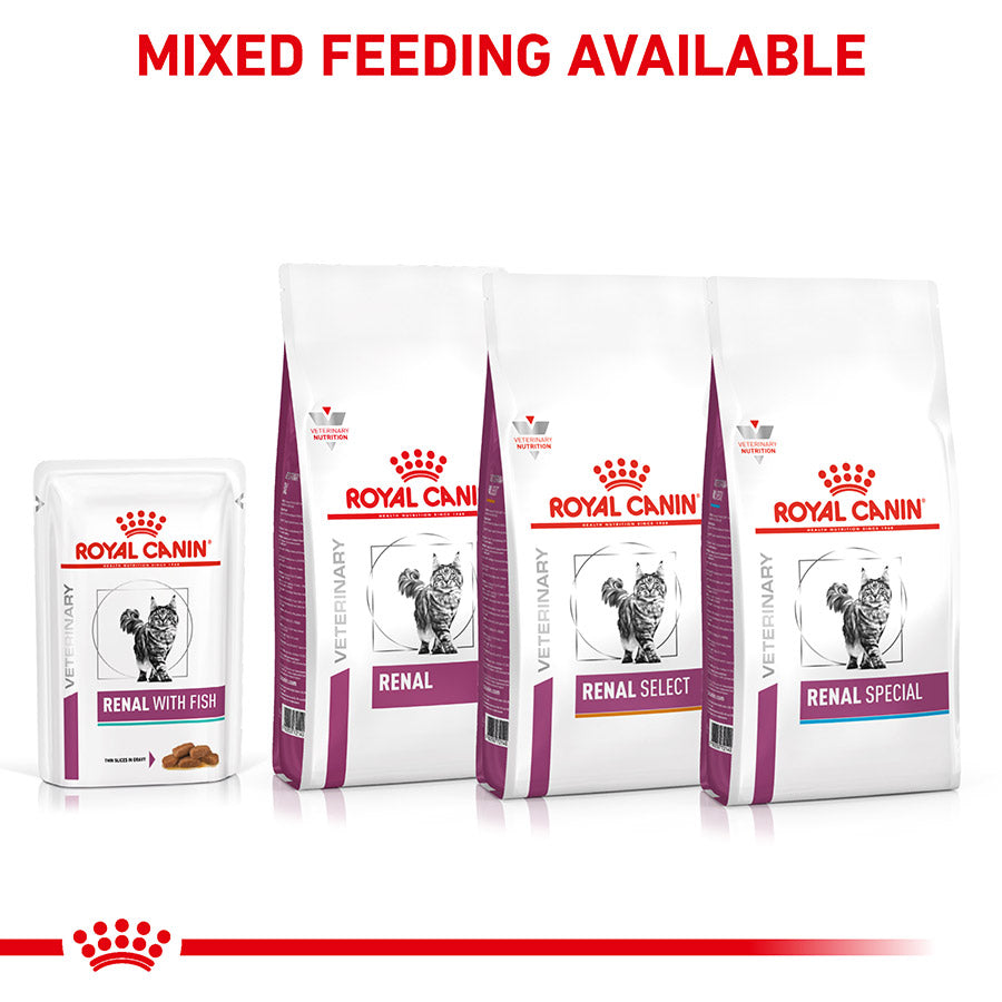 Royal Canin Veterinary Renal Adult Wet Cat Food Fish in Gravy 48x85g