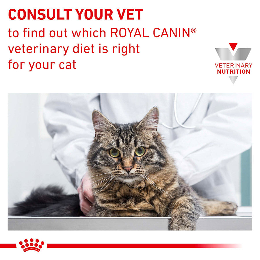 Royal Canin Veterinary Renal Adult Wet Cat Food Fish in Gravy 48x85g