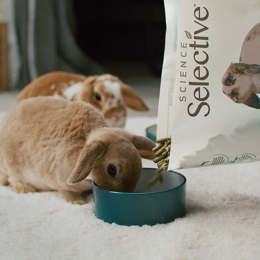 Science Selective Adult Rabbit Food