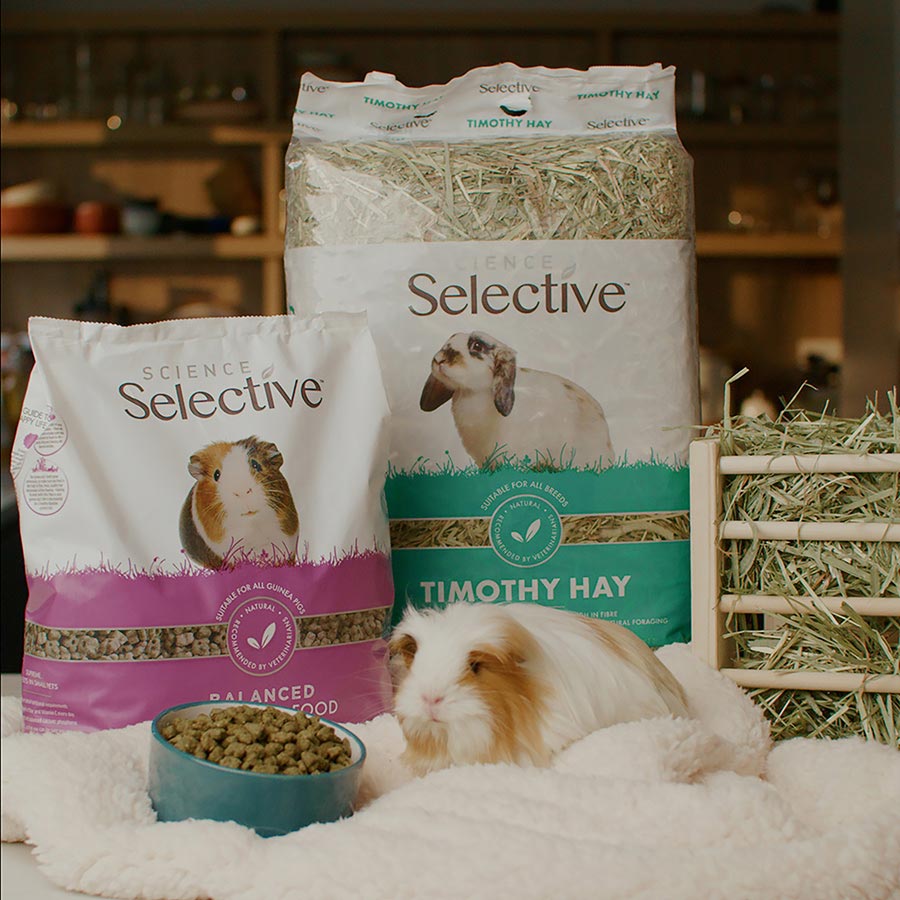 Science Selective Balanced Guinea Pig Food 4kg