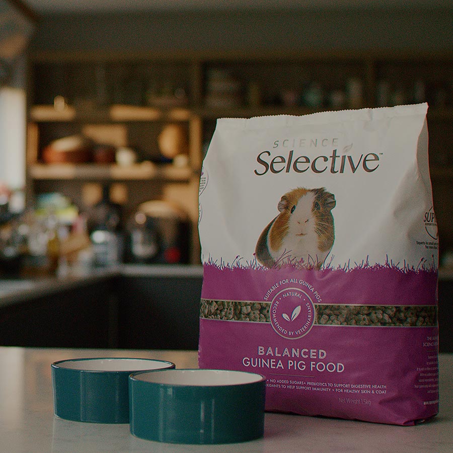 Science Selective Balanced Guinea Pig Food 4kg