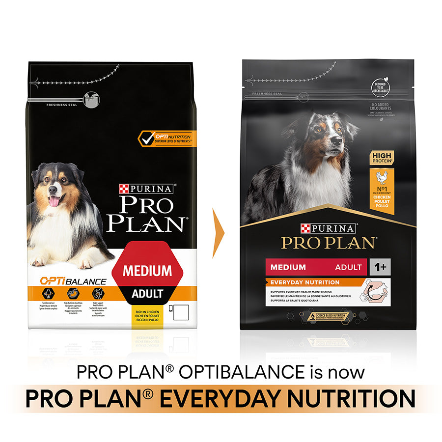 Pro Plan Medium Everyday Nutrition Adult Dry Dog Food Chicken
