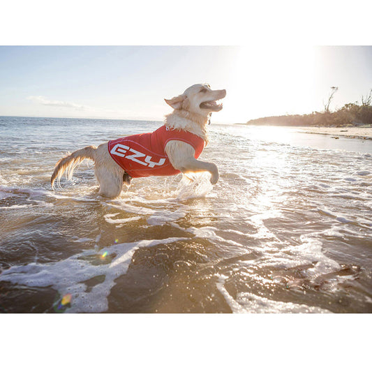 EzyDog UV Protection Dog Rash Vest Red Large