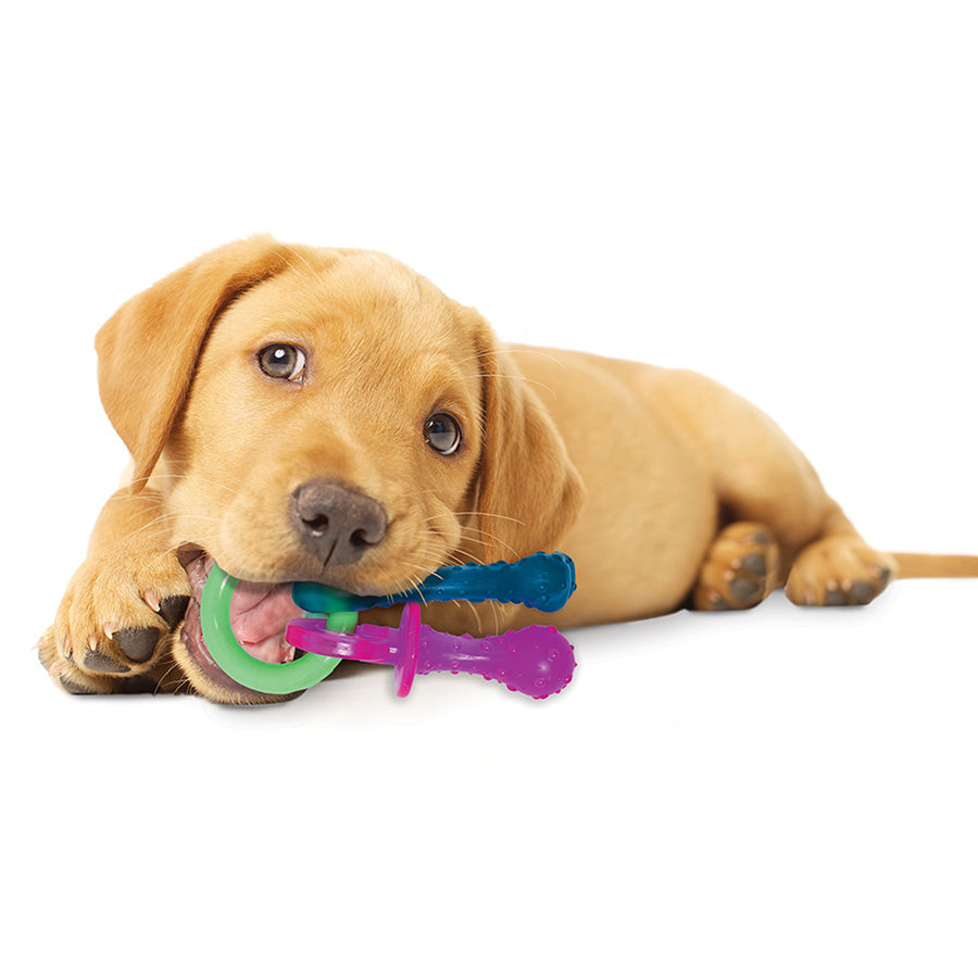 Nylabone Pacifier Puppy Chew Toy X Small