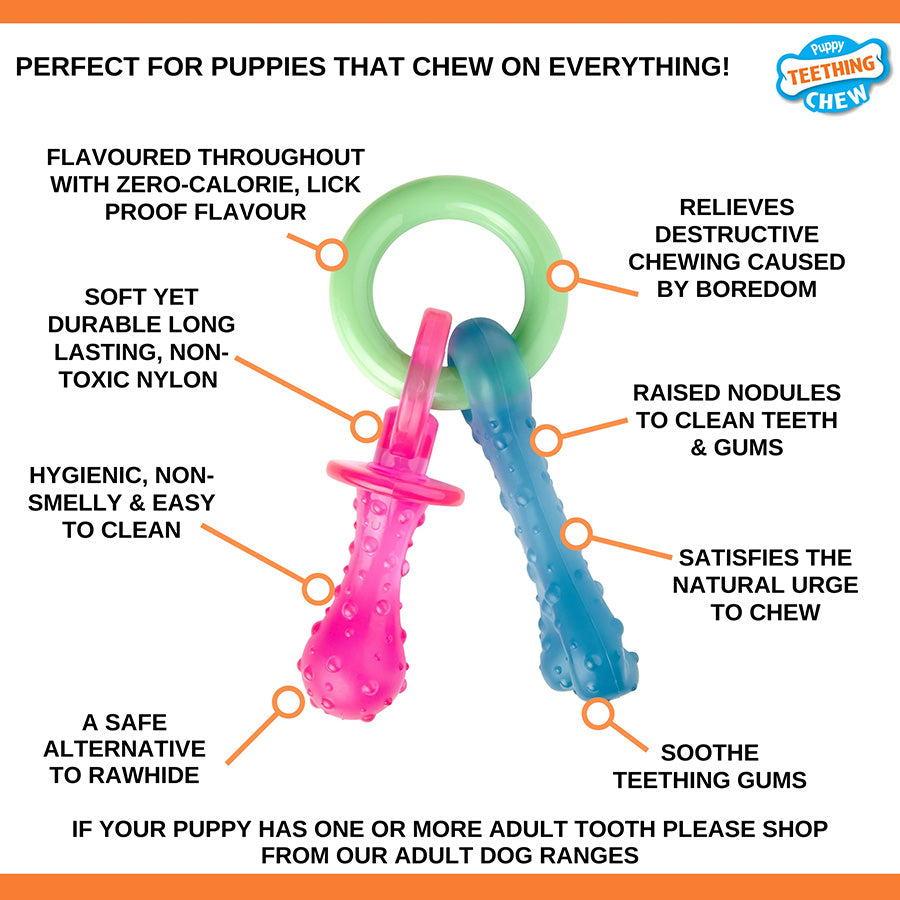 Nylabone Pacifier Puppy Chew Toy X Small