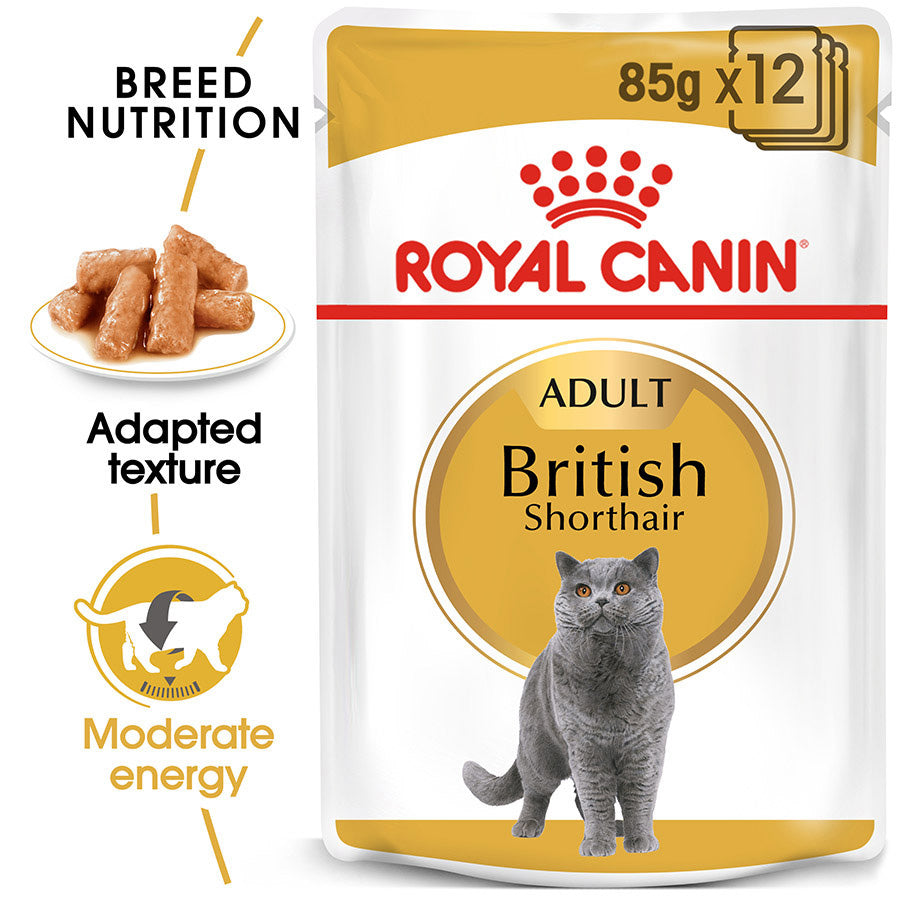 Royal Canin British Shorthair Adult Wet Cat Food 12x85g