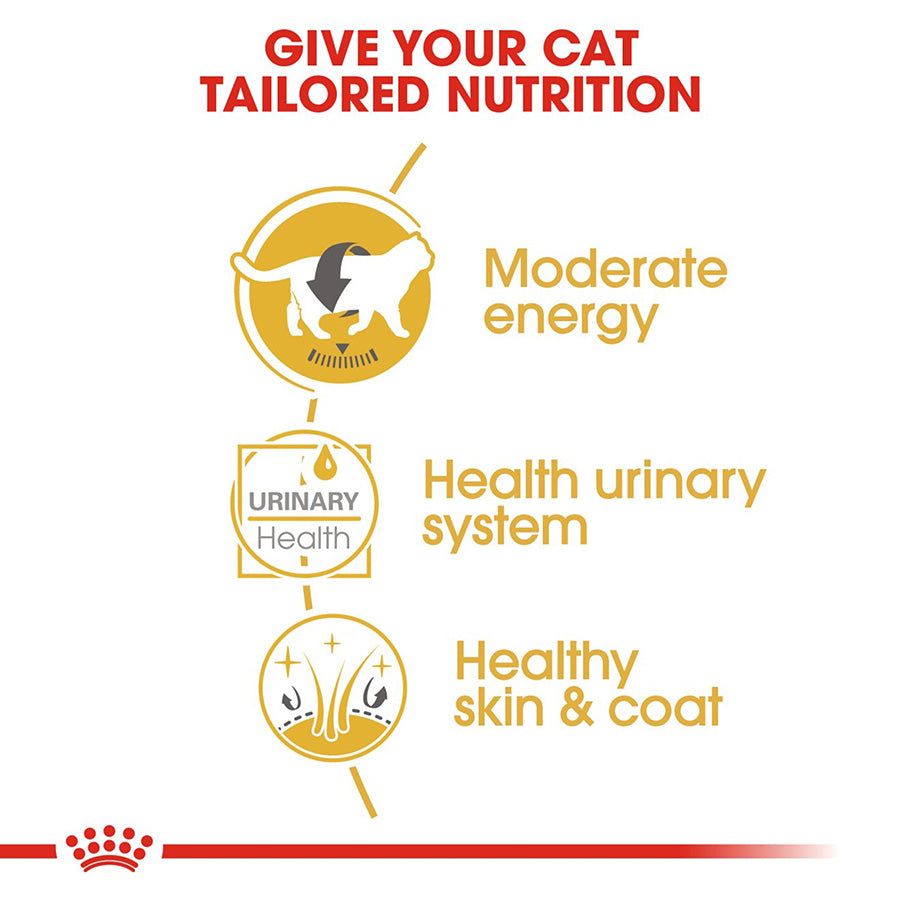 Royal Canin British Shorthair Adult Wet Cat Food 12x85g