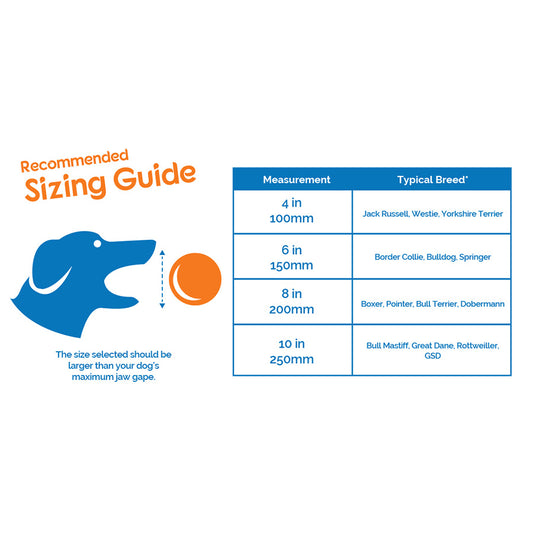 Company of Animals Boomer Ball Dog Toy 15cm