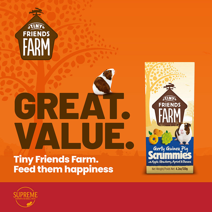 Tiny Friends Farm Gerty Guinea Scrummies Treats 120g