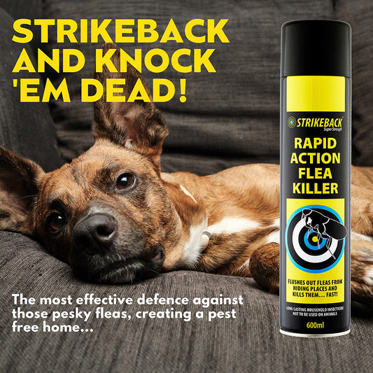 Strikeback Rapid Action Household Flea Killer Spray 600ml