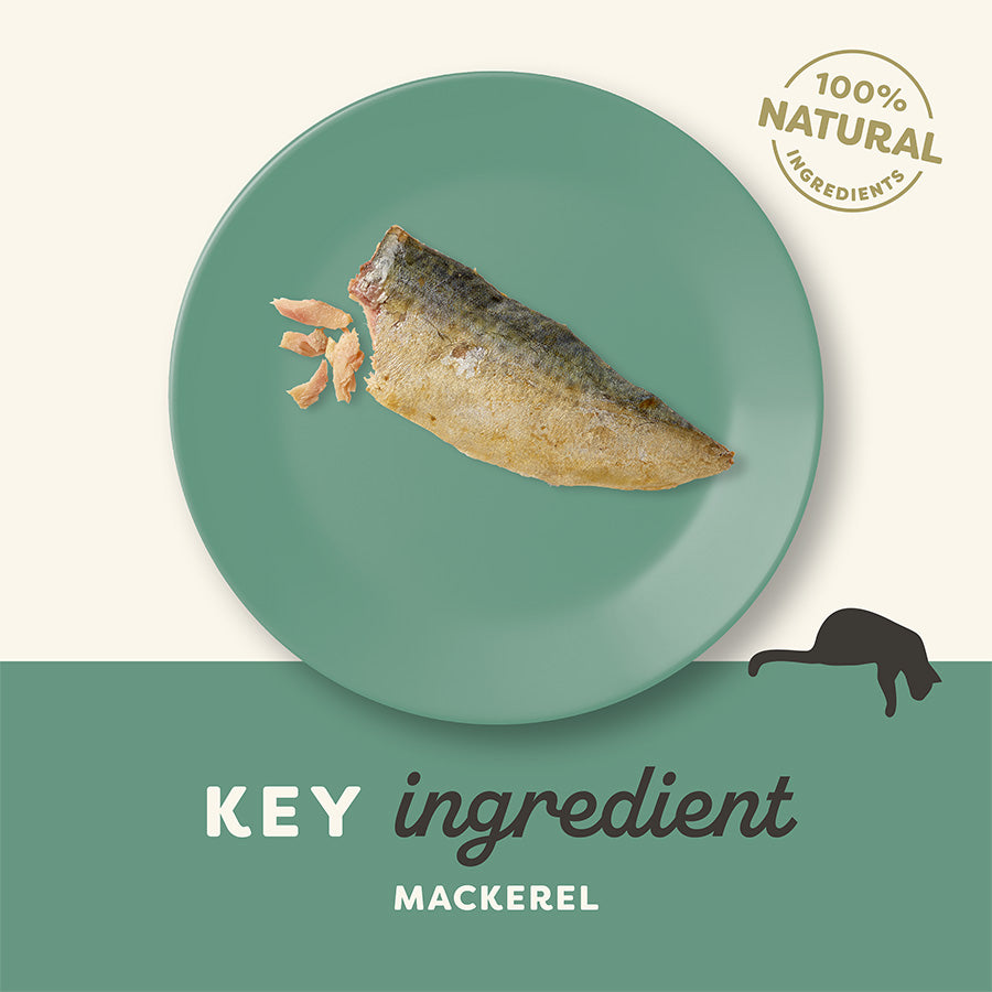 Applaws Natural Adult Cat Treat Mackerel Fillet 30g