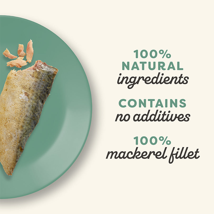 Applaws Natural Adult Cat Treat Mackerel Fillet 30g