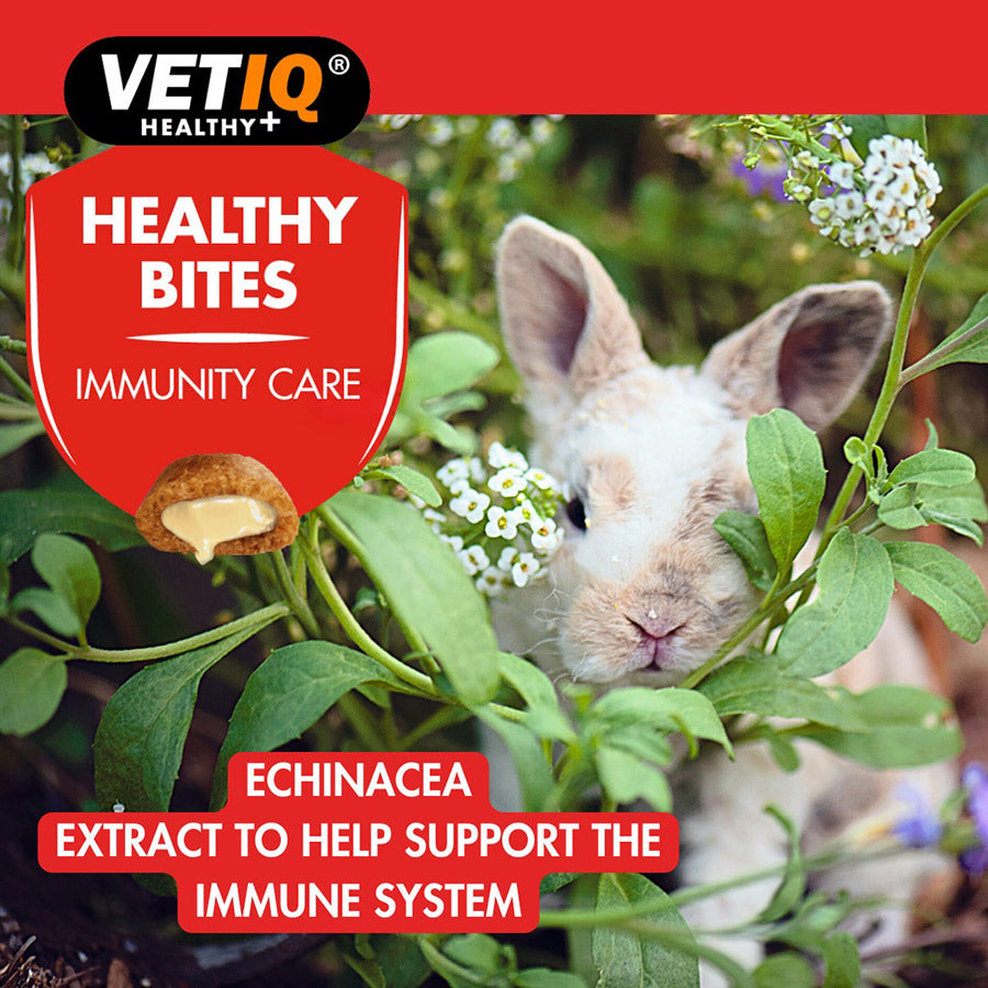 VetIQ Healthy Bites Immunity Care Small Animal Treats 30g
