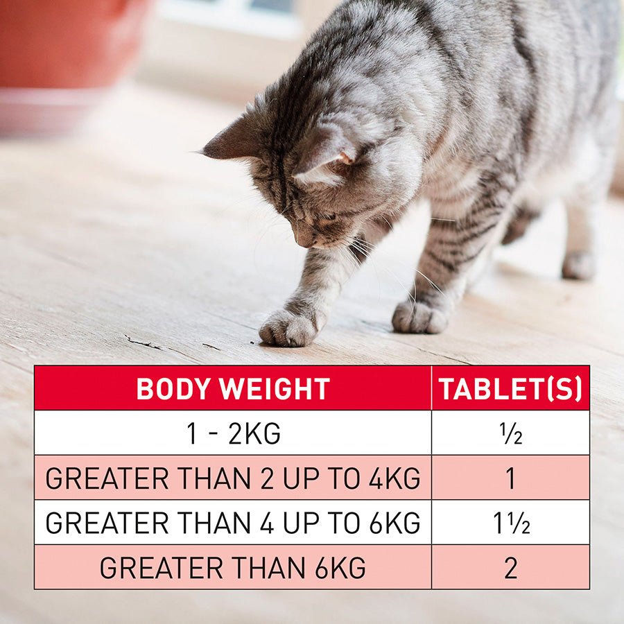 Beaphar WORMclear Worming Tablets for Cats 2 Tablets