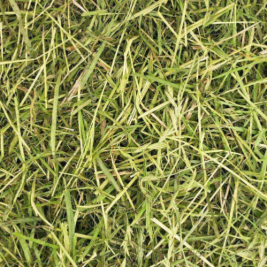 Friendly ReadiGrass Rabbit Food 1kg