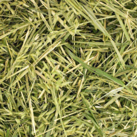 Friendly Green Oat ReadiGrass Small Animal Food 1kg