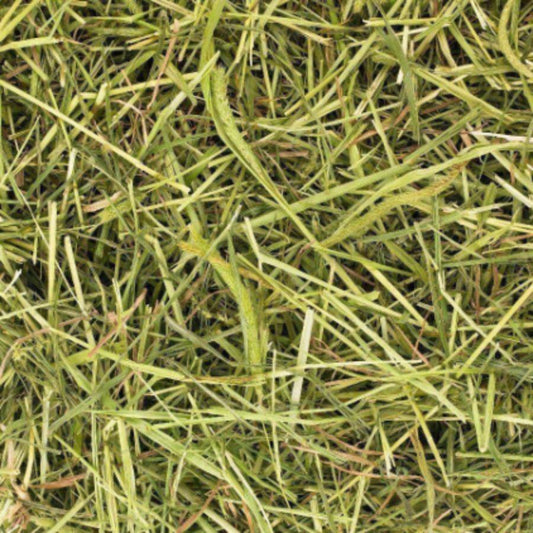 Friendly Timothy ReadiGrass Small Animal Food 1kg