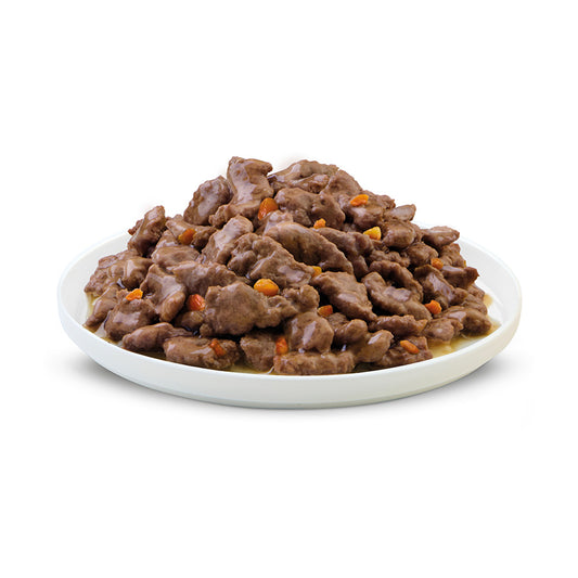 Perfect Fit Advanced Nutrition Wet Adult Cat Food Mixed In Gravy 12x85g