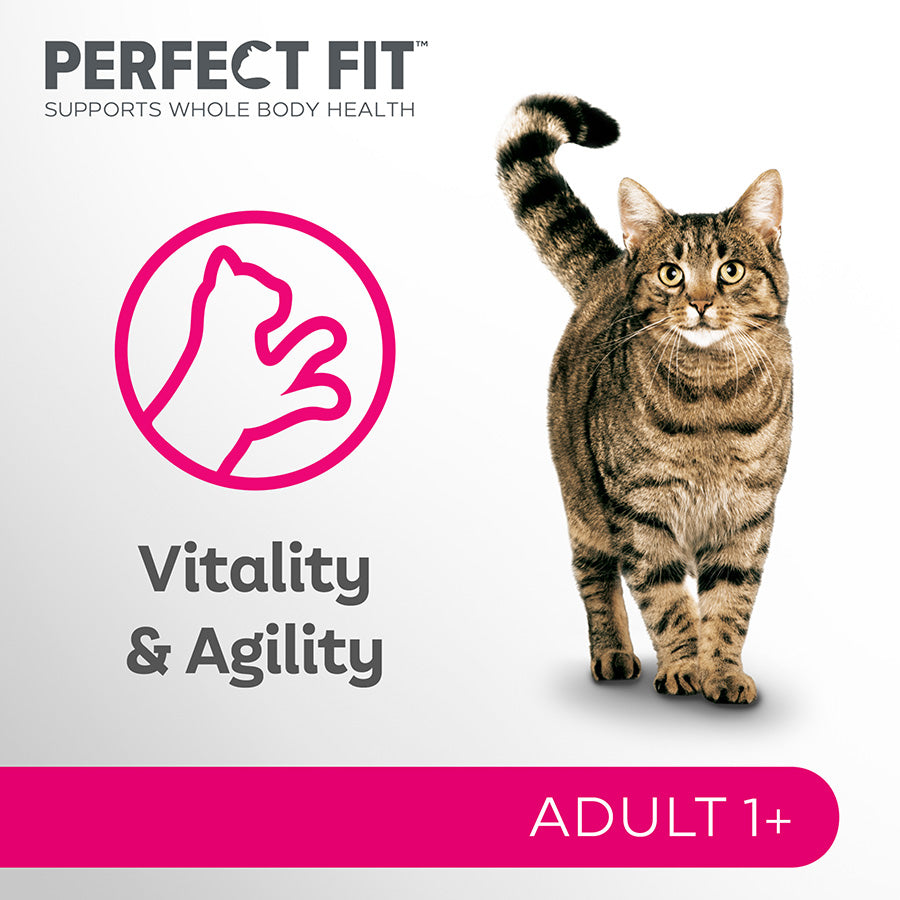 Perfect Fit Advanced Nutrition Wet Adult Cat Food Mixed In Gravy 12x85g