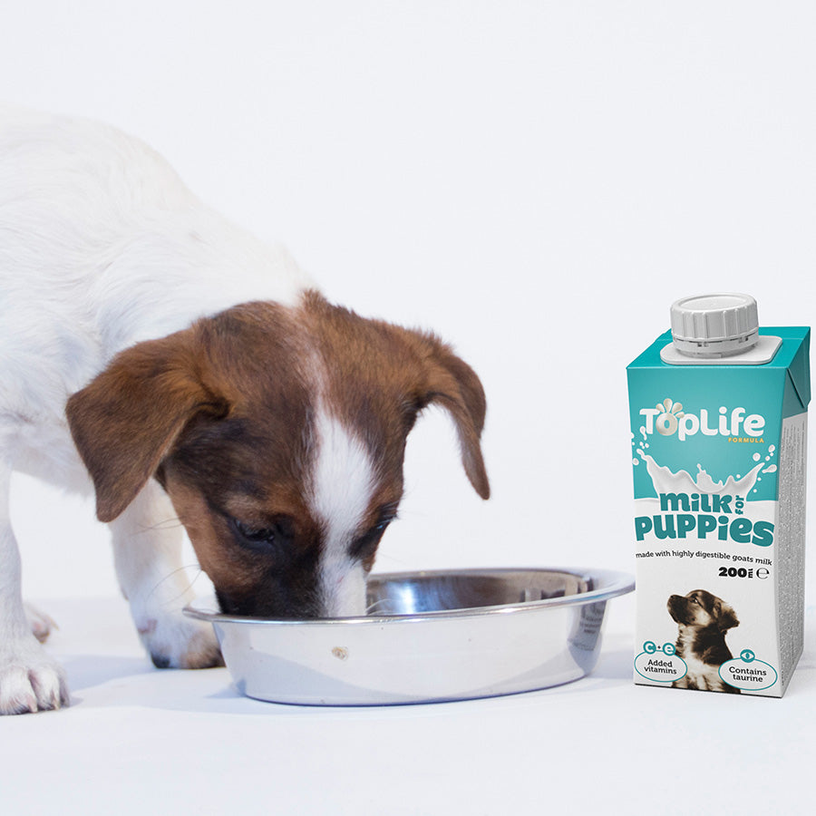 Toplife Puppy Milk 200ml