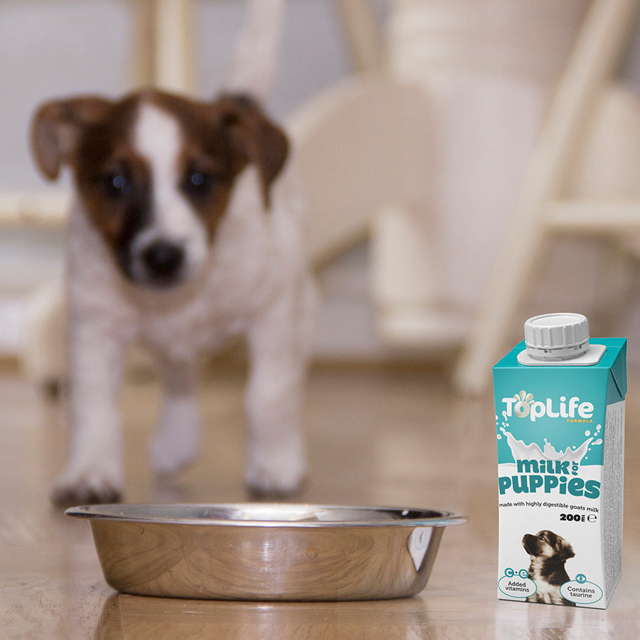 Toplife Puppy Milk 200ml