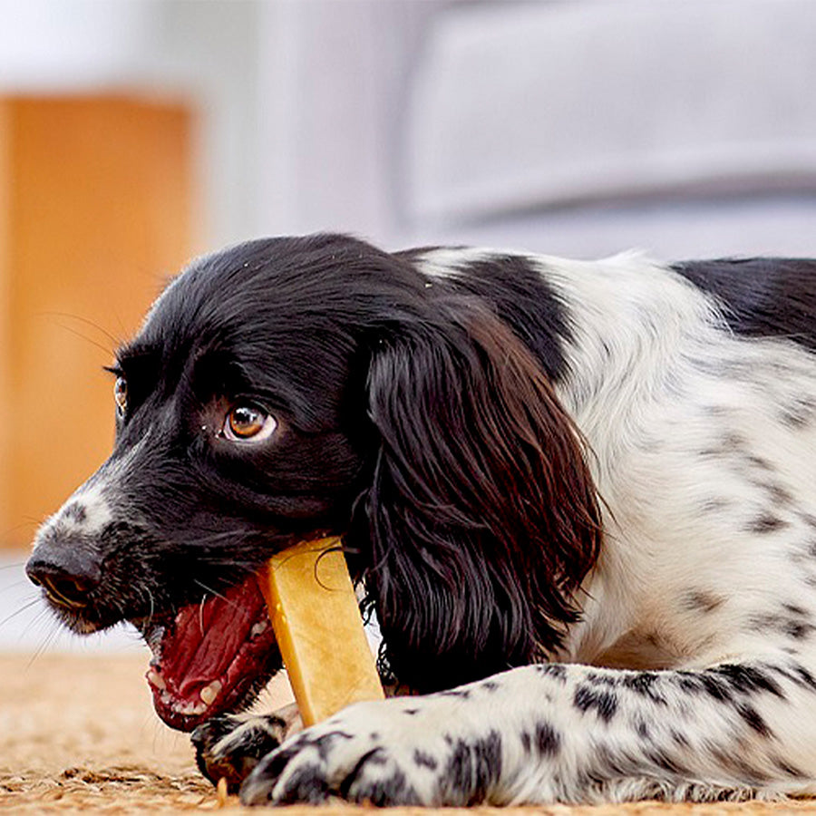 YAKERS Original Dog Chew & Occupier X Large