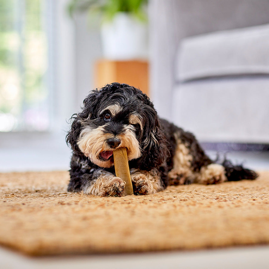 YAKERS Original Dog Chew & Occupier X Large