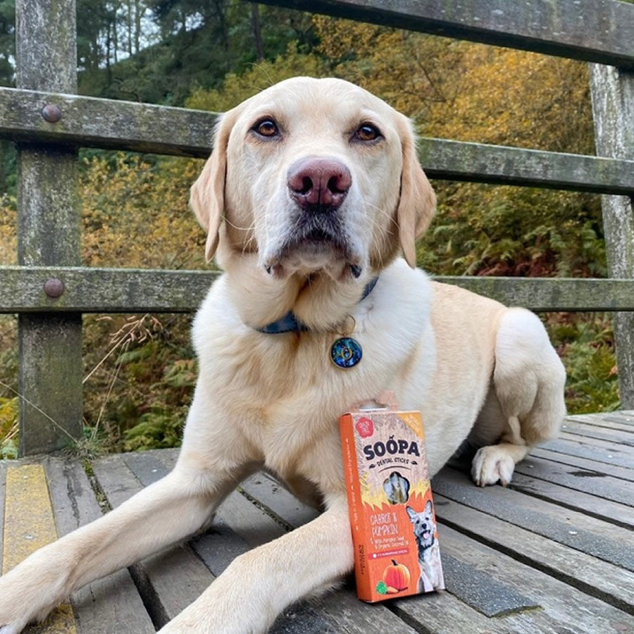 Soopa Dental Sticks Dog Treat Carrot and Pumpkin 4 Pack 100g