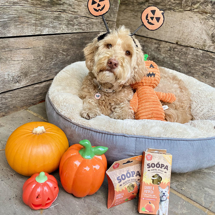 Soopa Dental Sticks Dog Treat Carrot and Pumpkin 4 Pack 100g