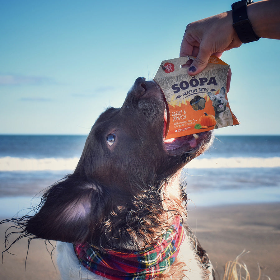 Soopa Healthy Bites Dog Treat Carrot & Pumpkin 50g