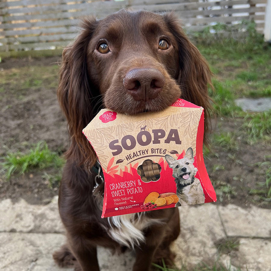 Soopa Healthy Bites Dog Treat Cranberry & Sweet Potato 50g