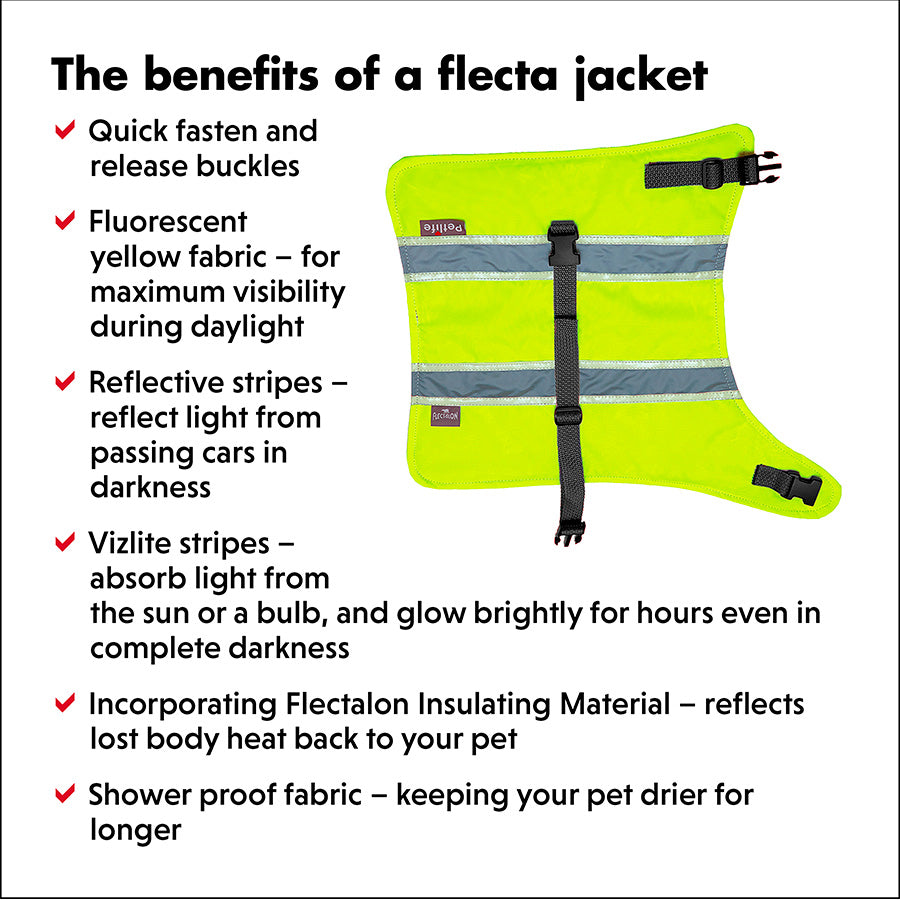 Flecta Vizlite Thermal Dog Jacket 30cm Small