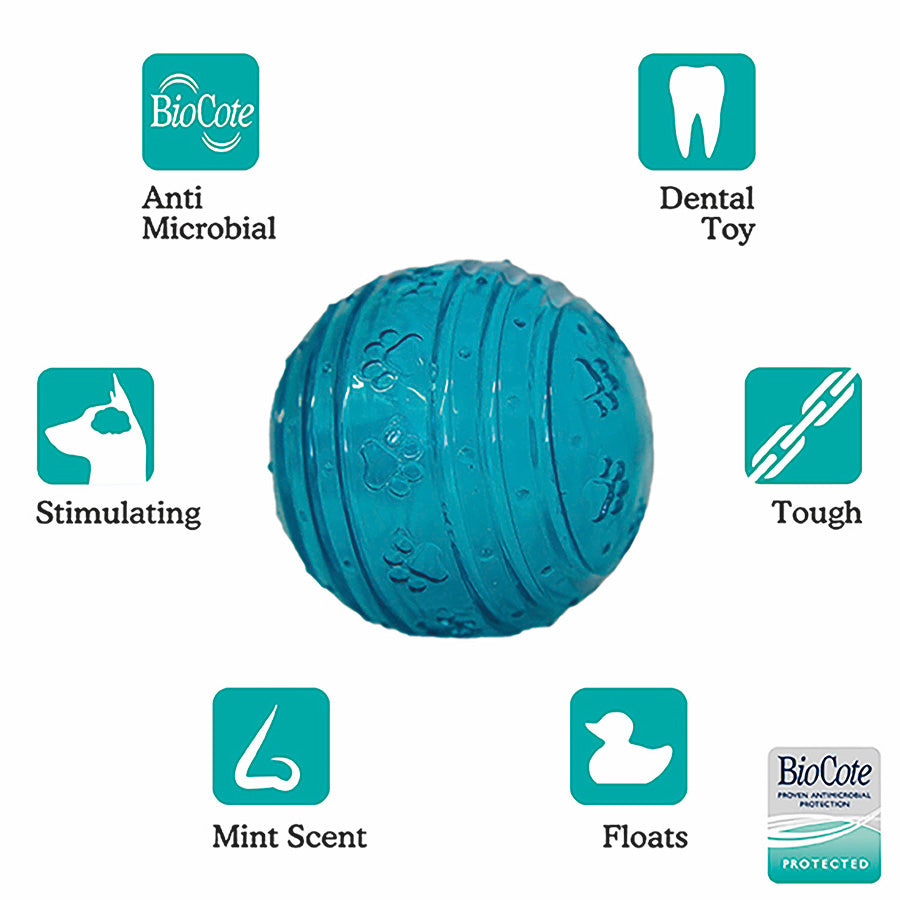 Rosewood BioSafe Puppy Ball Blue