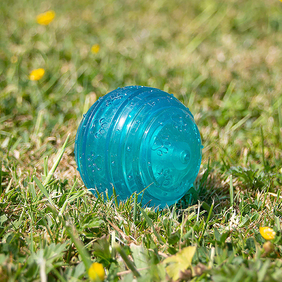 Rosewood BioSafe Puppy Ball Blue