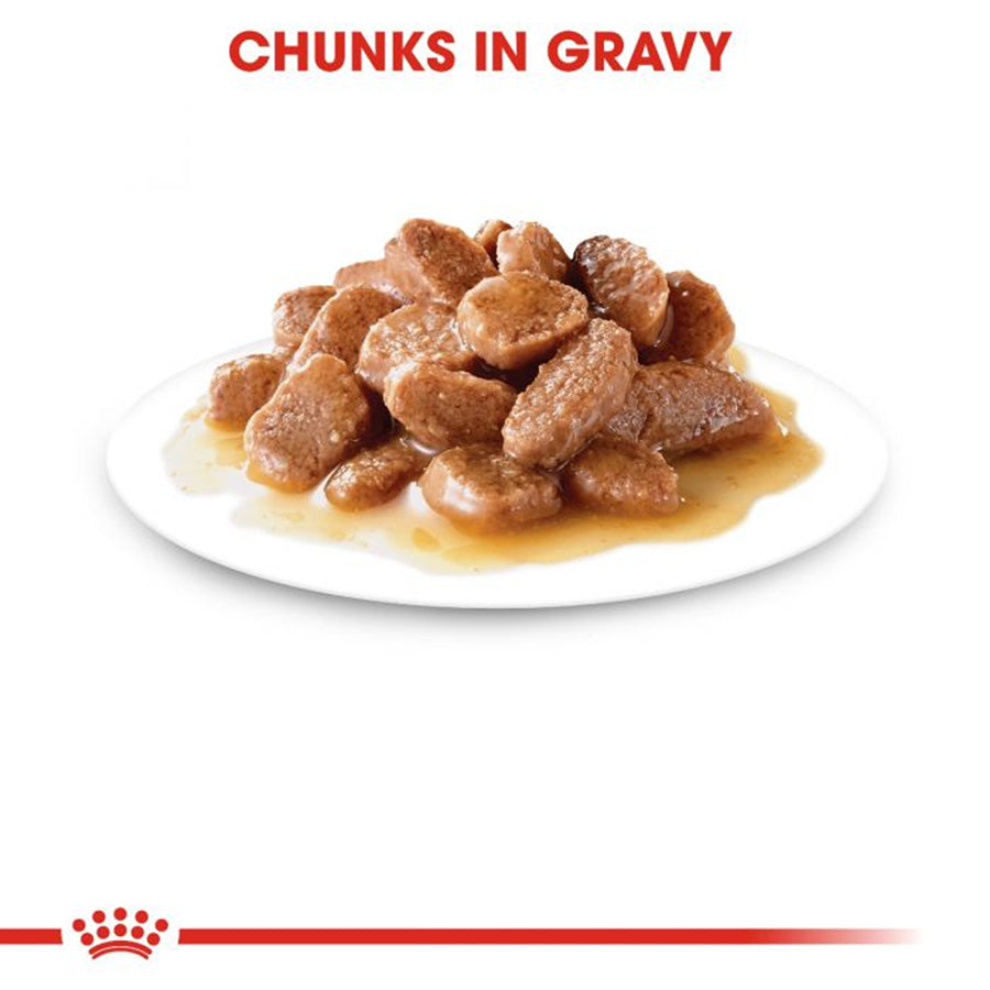 Royal Canin Feline Instinctive Adult Wet Cat Food In Gravy 48x85g