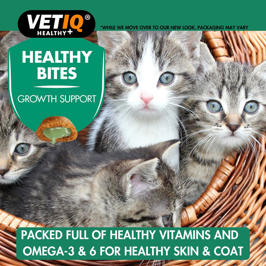 VetIQ Growth Support Healthy Bites Kitten Treats 65g