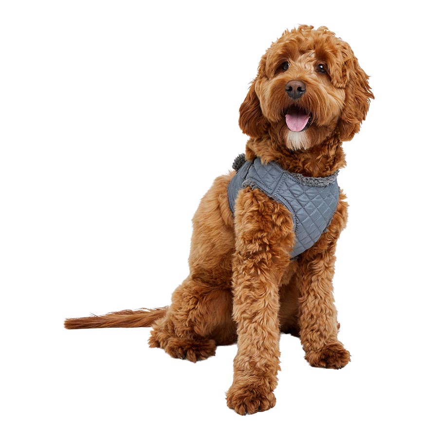 Pets at Home Quilted Shearling Dog Harness Grey Small