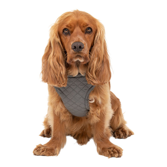 Pets at Home Quilted Shearling Dog Harness Grey Large