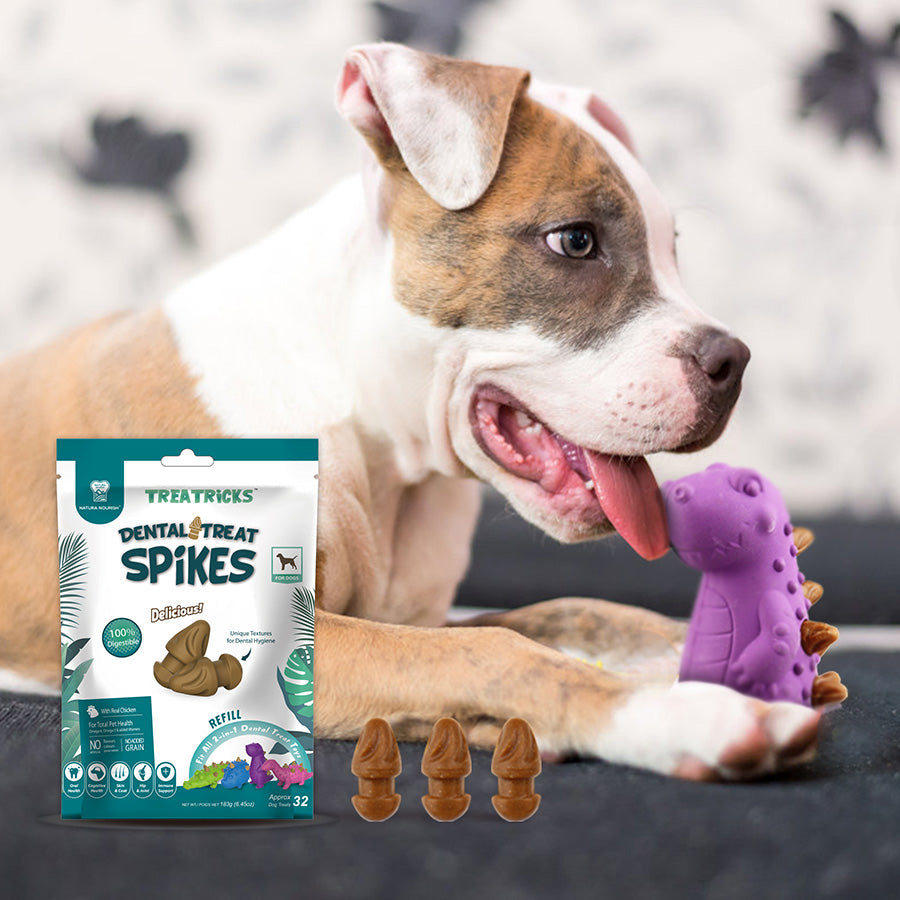 Natura Nourish Dental Treat Spikes Dog Toy Refills 183g