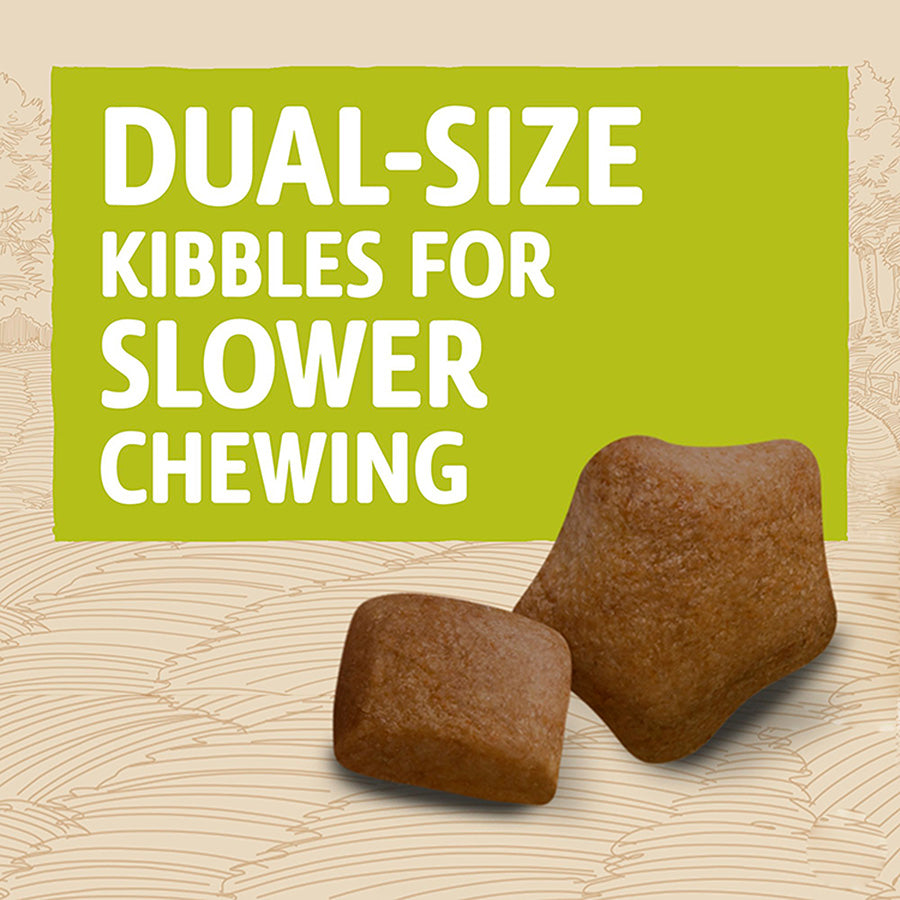 Beta Adut Dry Dog Food Turkey & Lamb 14kg