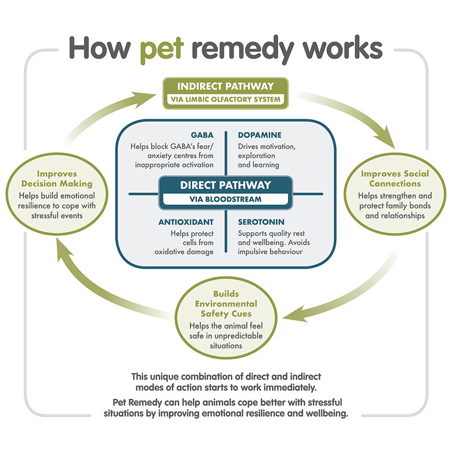 Pet Remedy Calming Bandana Kit Medium