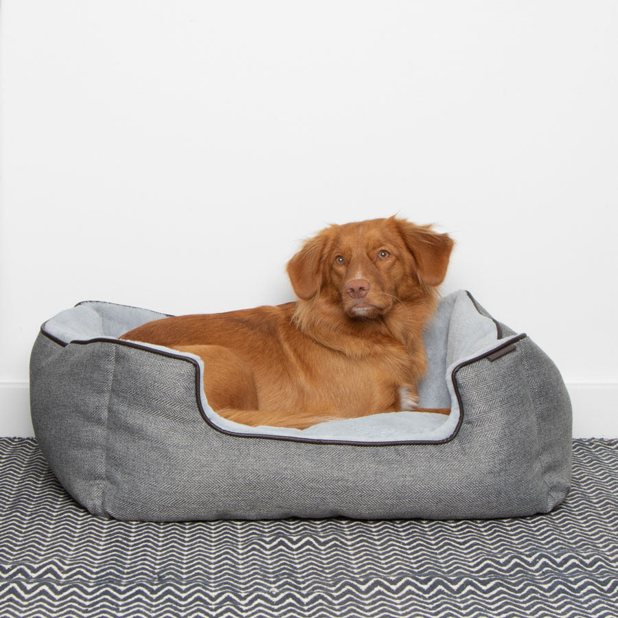Wainwright's Self Warming Square Dog Bed Grey